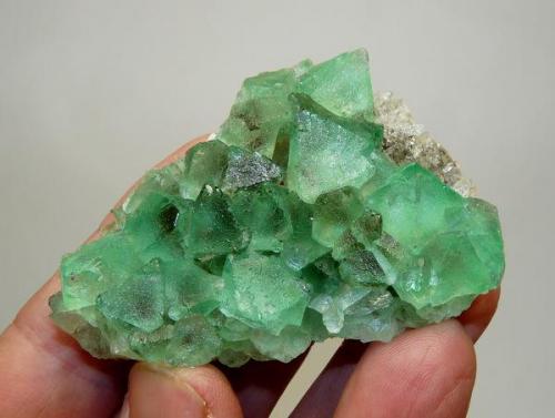 Fluorite and Quartz
Riemvasmaak, Northern Cape, South Africa
67 x 48 x 22 mm (Author: Pierre Joubert)