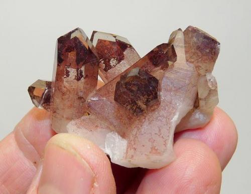 Quartz
Riemvasmaak, Northern Cape, South Africa
44 x 28 x 25 mm
Phantom Quartz. (Author: Pierre Joubert)