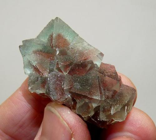 Fluorite with hematite phantoms.
Riemvasmaak, Northern Cape, South Africa
40 x 25 x 14 mm (Author: Pierre Joubert)