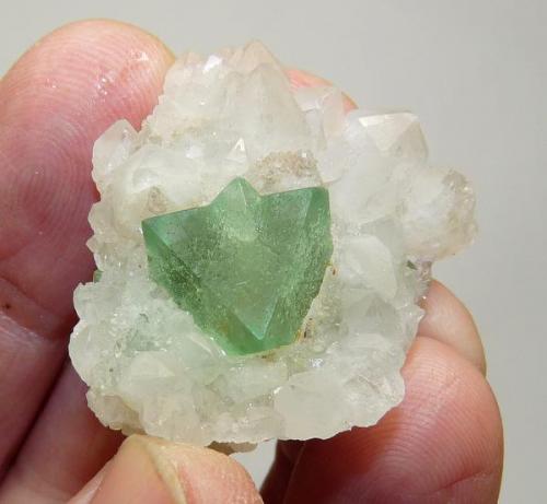 Fluorite on Quartz
Riemvasmaak, Northern Cape, South Africa
36 x 34 x 14 mm
Same as above. (Author: Pierre Joubert)