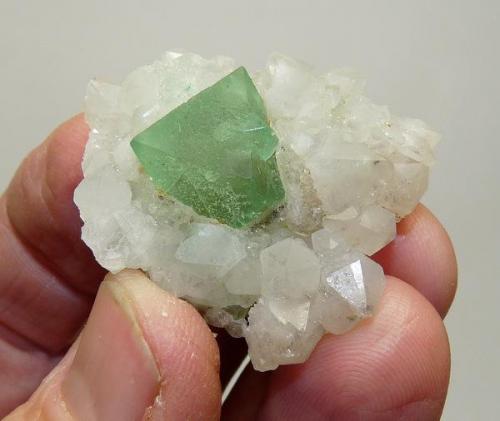 Fluorite on Quartz
Riemvasmaak, Northern Cape, South Africa
36 x 34 x 14 mm
Same as above. (Author: Pierre Joubert)