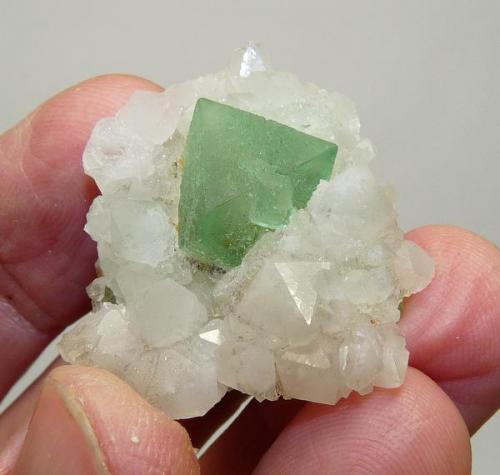 Fluorite on Quartz
Riemvasmaak, Northern Cape, South Africa
36 x 34 x 14 mm (Author: Pierre Joubert)