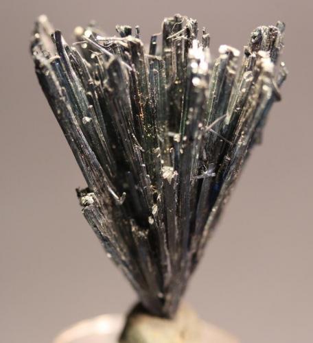 Vivianite
Bolivia
4.4 x 3.7 cm (Author: Don Lum)