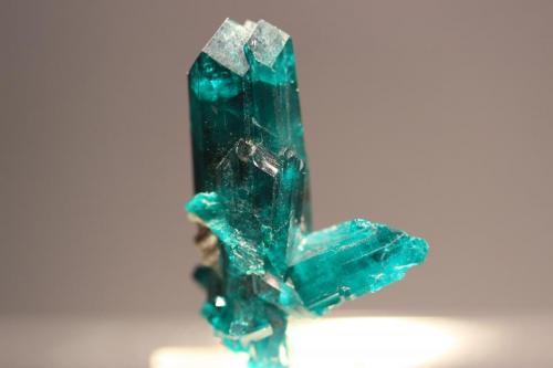 Dioptase
Kaokoveld Plateau, Kunene Region, Namibia
3.3 x 2.3 cm (Author: Don Lum)