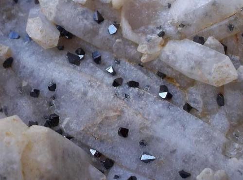 Anatasa
Sierrilla de Aguas Vivas, Cáceres, Extremadura, España
desde 1 mm hasta 3 mm aprox. los cristales. (Autor: Cristalino)