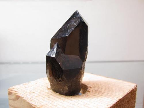 Smoky Quartz
Isle of Arran, Scotland, UK
40mm x 17mm x 13mm
Good termination and colour, and very clear inside. (Author: Mike Wood)