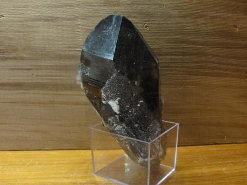 Smoky Quartz
Isle of Arran, Scotland, UK
90mm x 45mm x 30mm
The other side of the above specimen - not so good, with contacting. (Author: Mike Wood)