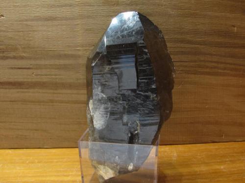 Smoky Quartz
Isle of Arran, Scotland, UK
90mm x 45mm x 30mm
A big one - with quite a lot of veils (bubble-trains or lines of bubbles), as the larger crystals tend to have. Self-collected. (Author: Mike Wood)