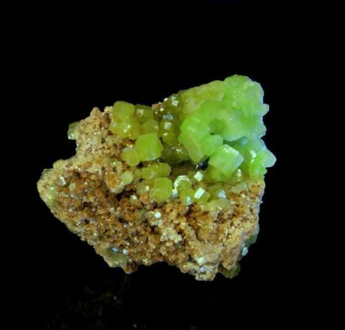Pyromorphite
San Andrés Mine -  Espiel- Córdoba - Andalusia -  Spain
4,5x3,4cm.
Main cristals; 1,1 cm. (Author: DAni)