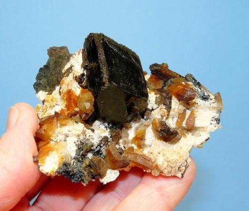 Schorl (variety - Foitite)
Erongo mountains, Namibia.
81 x 76 x 42 mm
Same as above. (Author: Pierre Joubert)