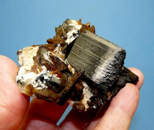 Schorl (variety - Foitite)
Erongo mountains, Namibia.
81 x 76 x 42 mm
A Schorl crystal (38 mm) with Feldspar and quartz. (Author: Pierre Joubert)