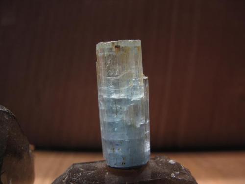 Beryl (var aquamarine)
Isle of Arran, Scotland, UK
17mm x 6mm x 4mm
Close-up of the aquamarine crystal, only the second one I have found on Arran, after 19 years of going there. They are rare ! (Author: Mike Wood)