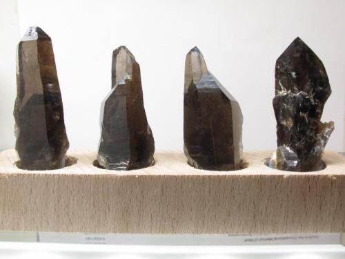 Smoky Quartz
Isle of Arran, Scotland, UK
59mm, 55mm, 54mm, 61mm
Length of crystals, from left to right.
Self-collected. (Author: Mike Wood)