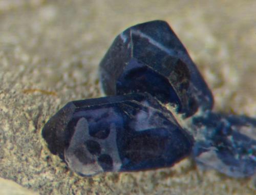 Corundum var sapphire.
Pennycross, W of Loch Scridain, Isle of Mull, Soctland, UK.
Crystal in background is 1 mm across. 37 mm specimen hosts many others, to 4 mm. (Author: Ru Smith)