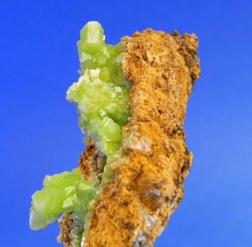 Pyromorphite
San Andrés Mine - Espiel- Córdoba - Andalusia - Spain
7,7x6 cm.
Aggregate of crystals; 3,1cm. (Author: DAni)
