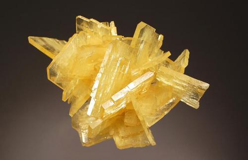 Barite
Nueva Esperanza, Puños, Huamalíes Province, Huánuco Department, Peru
5.3 x 7.7 cm.
Intergrown group of golden yellow tabular crystals to 3.3 cm on edge from the find in 2008. (Author: crosstimber)