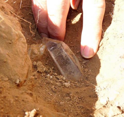 Yet another nice crystal waits to be removed. (Author: Pierre Joubert)