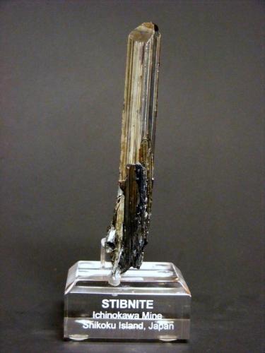 Stibnite
Ichinokawa mine, Saijo City, Ehime Prefecture, Shikoku Island, Japan
11.7 cm tall
A fine cluster of bright, lustrous, silvery stibnite crystals bearing characteristic striations and slight iridescence (more obvious in person) from this famous locality. The primary crystal is nicely terminated. Dating to the 1870s to 1880s. Ex. Dr. Frederick H. Pough and William W. Pinch Collections, with labels. (Author: Tim Blackwood)