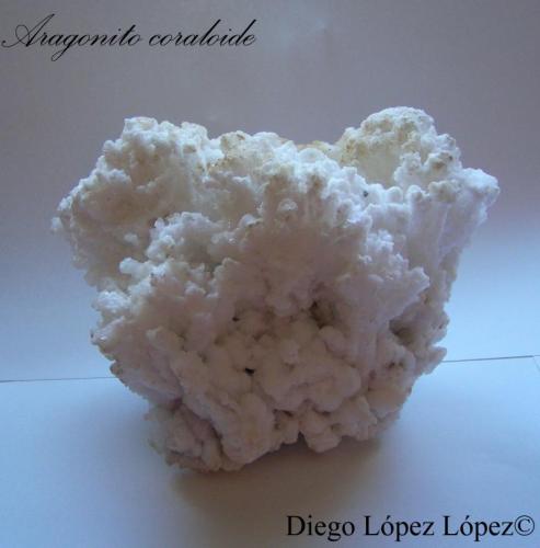 Aragonito
Mina Antonina, Toral de los Vados, Sobrado, León, Castilla y León, España
alto 10cm , largo 12cm , ancho 6cm
Coraloide. (Autor: DiegoToledo)