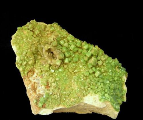 Pyromorphite
Santa Eufemia - Córdoba -  Andalusia - Spain
8,5x5,6cm.
Main crystal; 0,6 cm (Author: DAni)