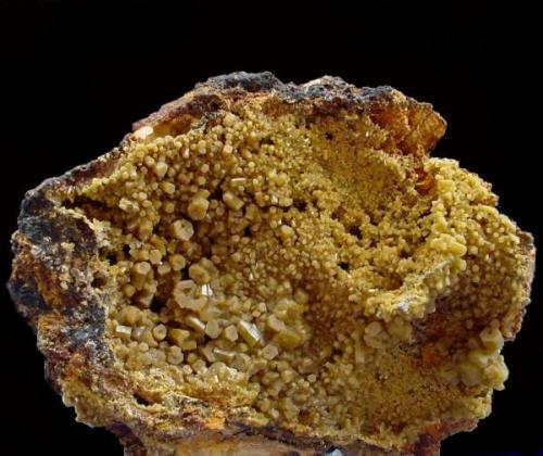 Pyromorphite
Santa Eufemia - Córdoba -  Andalusia - Spain
11,5x9,6cm
Main crystal; o,8 cm. (Author: DAni)