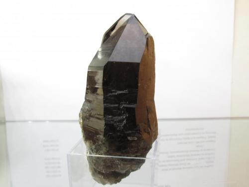 Smoky Quartz
Isle of Arran, Scotland, UK
76mm x 35mm x 26mm
same specimen as above showing interesting termination (Author: Mike Wood)