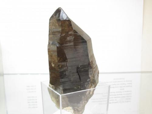 Smoky Quartz
Isle of Arran, Scotland, UK
76mm x 35mm x 26mm
same specimen as above (Author: Mike Wood)