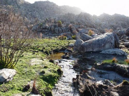 Our rainy season is in full swing and small mountain streams are running everywhere. (Author: Pierre Joubert)