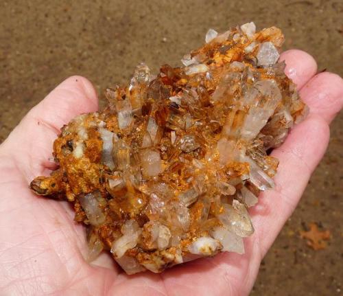 Quartz
Ceres, Western Cape, SA
Fingers for size
A partially cleaned specimen from the above pocket. (Author: Pierre Joubert)