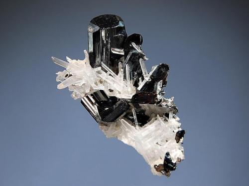 Hübnerite
Mundo Nuevo Mine, Huamachuco, La Libertad Dept., Peru
3.2 x 5.6 cm.
Lustrous black bladed hubnerite crystals with transparent colorless quartz from the 2008 find. (Author: crosstimber)