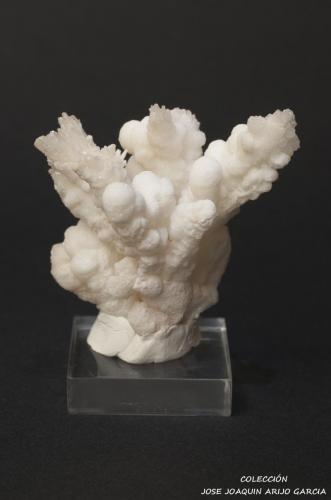Aragonito coraloide
Mina da Preguiça, Sobral da Adiça, Moura, Beja, Portugal
Medidas: 7x4 cm (Autor: jose Arijo)