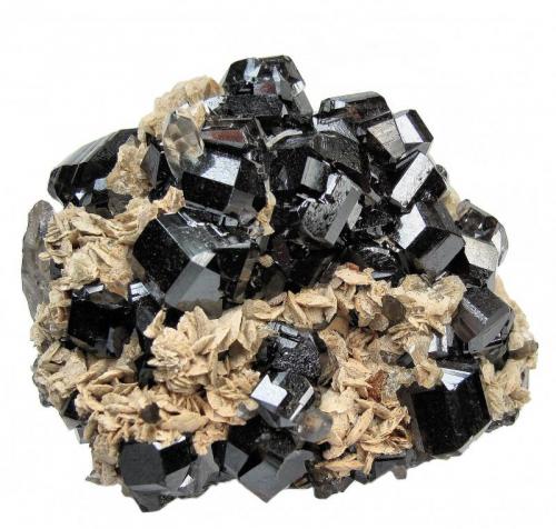 Cassiterite, siderite, quartz
Viloco Mine, Araca, Loayza, La Paz, Bolivia
 60 mm x 47 mm x 39 mm. Largest cassiterite crystal: 15 mm wide (Author: Carles Millan)