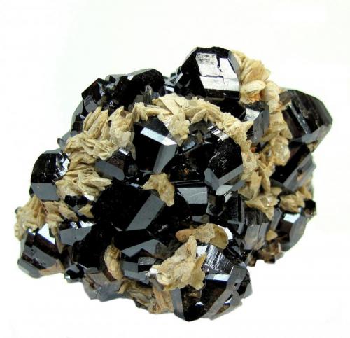Cassiterite, siderite, quartz
Viloco Mine, Araca, Loayza, La Paz, Bolivia
 60 mm x 47 mm x 39 mm. Largest cassiterite crystal: 15 mm wide (Author: Carles Millan)