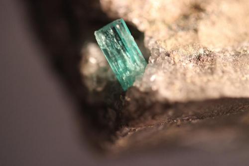 Beryl (var Emerald)
Chivor Mine, Guavio-Guateque District, Boyaca Department, Colombia
5.4 x 4.5 cm
Ex John Trimble (Author: Don Lum)