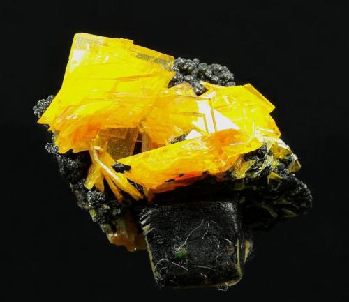 Wulfenite
79 Mine, Banner District, Dripping Springs Mts., Gila County, Arizona, USA
40 x 37 mm
From the 5th Level, Wulfenite up to 19 mm across. (Author: GneissWare)