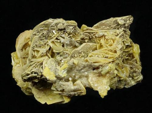 Wulfenite
Glove Mine, Tyndall District, near Amado, Santa Cruz County, Arizona, USA
52 x 47 x 34 mm
up to 23 mm Wulfenites (Author: GneissWare)