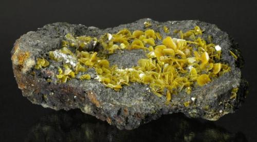 Wulfenite
Silver Bill Mine, Turquoise District, near Gleeson, Cochise County, Arizona, USA
111 x 62 x 56 mm
up to 8 mm Wulfenites (Author: GneissWare)