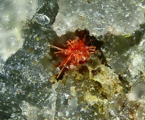 Perroudita.
Mina "Lealtad", Chóvar, Castellón, Comunidad Valenciana, España.
Campo de visión de 0,8 mm. (Autor: Antonio Carmona)