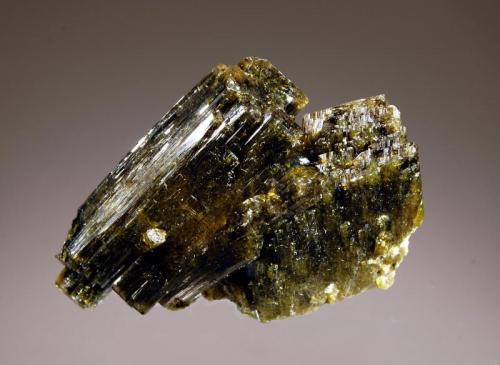 Epidote
Concession Morgan 3, Coayllo, Cañete Province, Lima Department, Peru
3.5 x 5.0 cm.
Intergrown crystals of glassy dark green epidote. (Author: crosstimber)