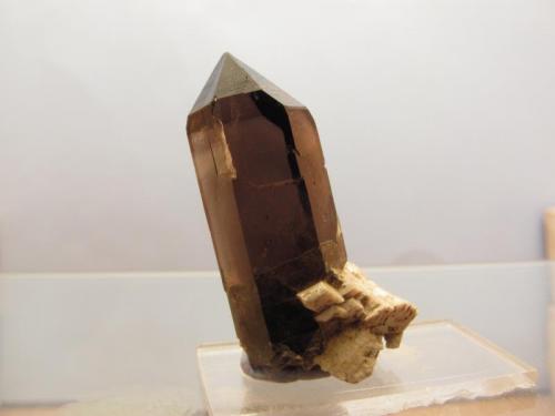 Smoky Quartz + Microcline
Isle of Arran, Scotland, UK
30mm x 11mm x 16mm
Same specimen as above (Author: Mike Wood)