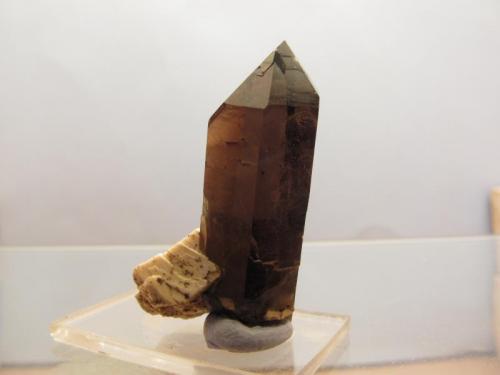 Smoky Quartz + Microcline
Isle of Arran, Scotland, UK
30mm x 11mm x 16mm
Tidy little specimen, again there are veils inside the crystal, but when you look at them closely they are extraordinarily beautiful and mysterious. (Author: Mike Wood)