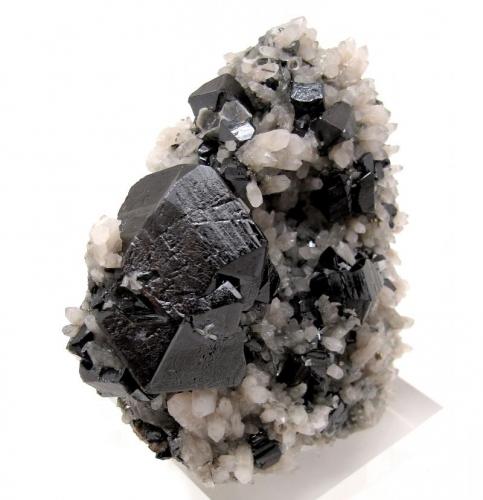 Cassiterite, quartz
Viloco Mine, Araca, Loayza, La Paz, Bolivia
80 mm x 69 mm x 39 mm. Largest cassiterite crystal: 33 mm wide (Author: Carles Millan)