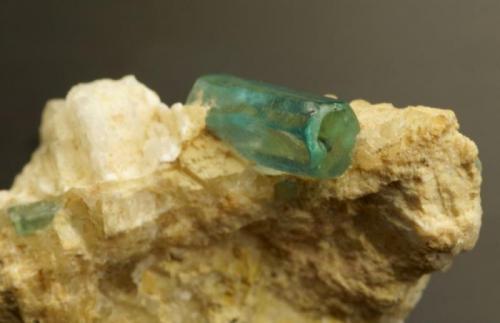 Apatite Group
Onh Bin Yee Htwet , Le-Oo (Le U), northeast of Mogok, Burma (Myanmar).
9 mm crystal on 34 mm matrix. (Author: Ru Smith)