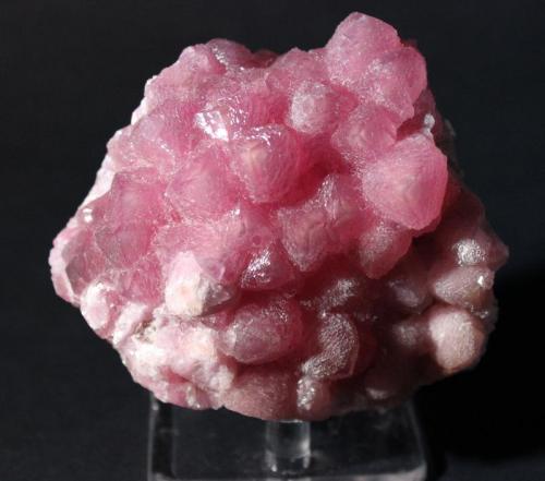 Calcite (Cobalt-bearing)
Bou Azzer District, Anti-Atlas Mountains, Tazenakht, Ouarzazate Province, Souss-Massa-Draa Region, Morocco
7.8 x 7.5 x 4.7 cm (Author: Don Lum)