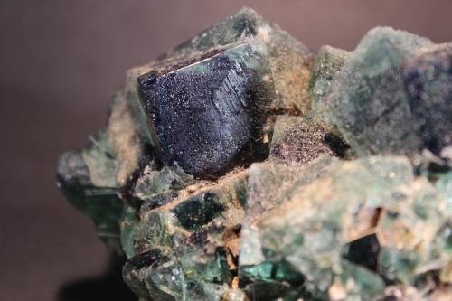 Fluorite
Rogerly Mine, Frosterley County, Durham, England
10.7 x 7.8 x 7.3 cm (Author: Don Lum)