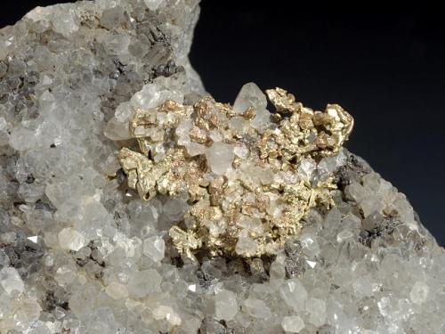 Gold
Baia de Aries (Offenbánya), Alba Co., Romania
1,5 cm
Nicely crystallized 1,5 area of Gold in Quartz. (Author: Simone Citon)