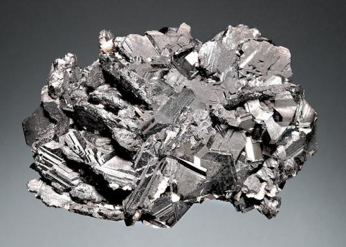 Galena
Alimon Mine, Huayllay District, Pasco Province, Pasco Department, Peru
5.5 x 7.0 cm.
Metallic silver-gray, spinel-twinned galena crystals associated with black sphalerite. (Author: crosstimber)