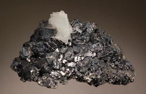 Galena
Huanzala Mine, Huallanca District, Dos de Mayo Prov., Hunauco Dept., Peru
5.3 x 8.5 cm.
Galena associated with colorless, bladed barite. (Author: crosstimber)