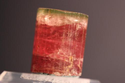 Elbaite (Tourmaline group, variety Rubellite)
Himalaya Mine, Gem Hill, Mes Grande, California, USA
24 x 18 mm
ex Fred Burr
Green Cap Tourmaline (Author: Don Lum)