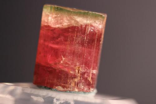 Elbaite (Tourmaline group, variety Rubellite)
Himalaya Mine, Gem Hill, Mesa Grande, California, USA
24 x 18 cm
ex Fred Burr
Green Cap Tourmaline (Author: Don Lum)